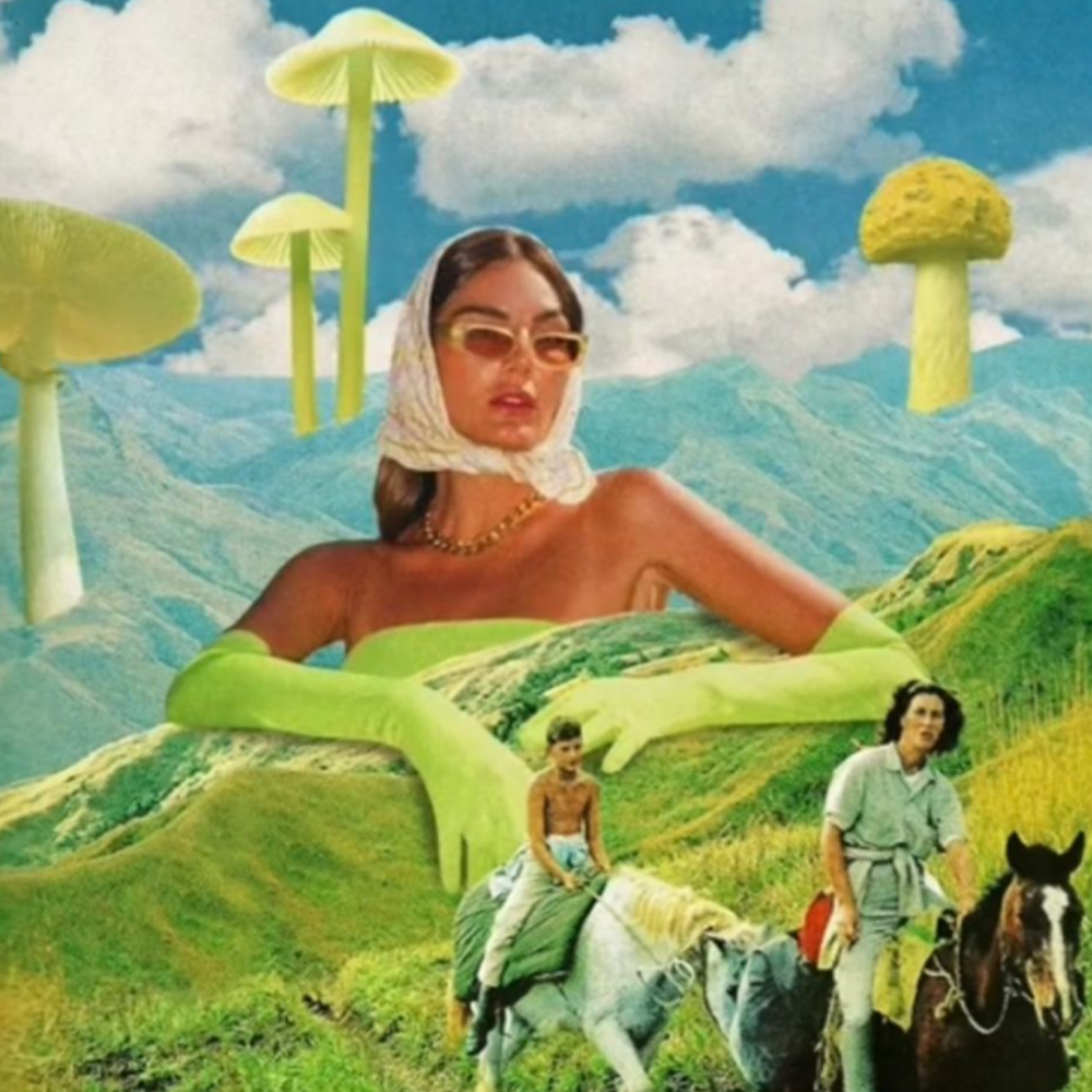 Terrence McKenna type beat ~ but the elves came out to play